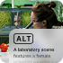 Generate alt text